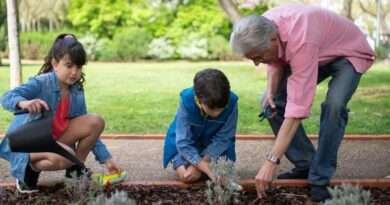 Como cuidar da meio ambiente educação infantil - blog mais voce