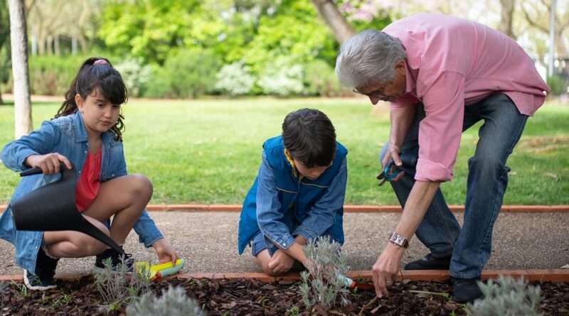 Como cuidar da meio ambiente educação infantil - blog mais voce