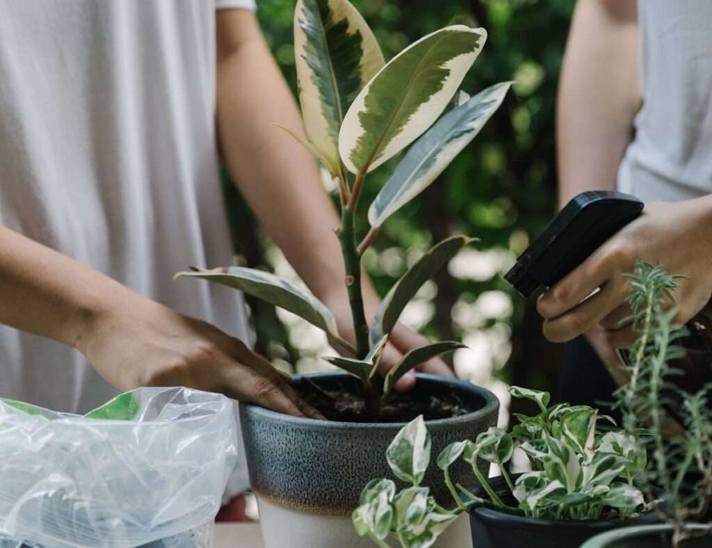 Como-cuidar-da-meio-ambiente-educacao-infantil-cuidar-do-meio-ambiente - blog mais voce